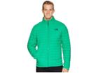 The North Face Thermoball Jacket (primary Green Matte) Men's Coat