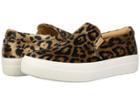 Steve Madden Gills Sneaker (leopard) Women's Shoes