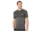 Puma Evoknit Basic Tee (cotton Black) Men's T Shirt