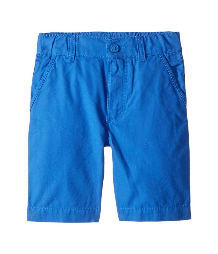 Columbia Kids Bonehead Shorts (toddler) (vivid Blue) Boy's Shorts