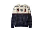 Polo Ralph Lauren Kids Ski Bear Cotton-merino Sweater (big Kids) (hunter Navy Multi) Boy's Sweater