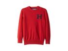 Tommy Hilfiger Kids Matt Logo Sweater (big Kids) (scarlet Sage) Boy's Sweater