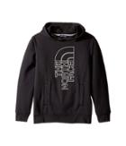 The North Face Kids Logowear Pullover Hoodie (little Kids/big Kids) (tnf Black (prior Season)) Boy's Sweatshirt