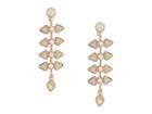 Guess Clustered Stone And Pearl Drop Earrings (rose Gold/white Opal) Earring