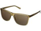 Dkny 0dy4127 (amber) Fashion Sunglasses