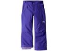The North Face Kids Freedom Insulated Pants (little Kids/big Kids) (deep Blue) Girl's Outerwear