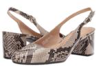 A2 By Aerosoles Silver Age (bone Snake) Women's 1-2 Inch Heel Shoes