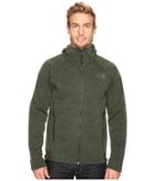 The North Face Trunorth Hoodie (rosin Green Heather/rosin Green Heather (prior Season)) Men's Sweatshirt
