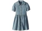 Polo Ralph Lauren Kids Ruffled Chambray Dress (little Kids) (indigo) Girl's Dress