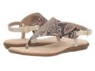Aerosoles Conchlusion (brown Exotic) Women's Sandals