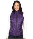 Smartwool Corbet 120 Vest (mountain Purple) Women's Vest