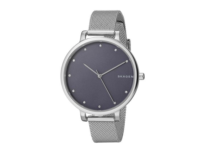 Skagen Hagen Skw2582 (silver) Watches