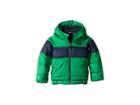The North Face Kids Moondoggy 2.0 Down Jacket (toddler) (primary Green) Boy's Coat