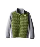 The North Face Kids Thermoball Triclimate(r) Jacket (little Kids/big Kids) (terrarium Green (prior Season)) Boy's Coat