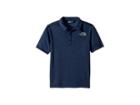 The North Face Kids Polo Top (little Kids/big Kids) (cosmic Blue Heather/mid Grey) Boy's T Shirt