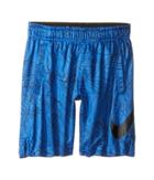 Nike Kids Dry Aop Fly Shorts (toddler) (game Royal) Boy's Shorts