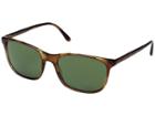 Giorgio Armani 0ar8089 (striped Brown/crystal Green) Fashion Sunglasses