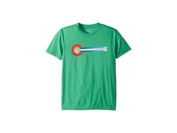 Spyder Kids Co Flag (big Kids) (jungle Green) Boy's T Shirt