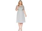 Adrianna Papell Plus Size Beaded Dress (blue Mist) Women's Dress