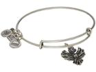 Alex And Ani Charity By Design Home And Hospice Care Of R? Bracelet (rafaelian Silver) Bracelet