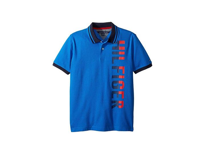Tommy Hilfiger Kids Logo Polo (big Kids) (victoria Blue) Boy's Clothing