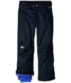The North Face Kids Snowquest Triclimatetm Pants (little Kids/big Kids) (tnf Black (prior Season)) Girl's Outerwear