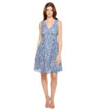 Adrianna Papell Bella Lace Fit And Flare A-line Sleeveless V-neck Dress (steel Blue/blush) Women's Dress