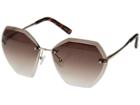 Steve Madden Sm485118 (gold/brown) Fashion Sunglasses