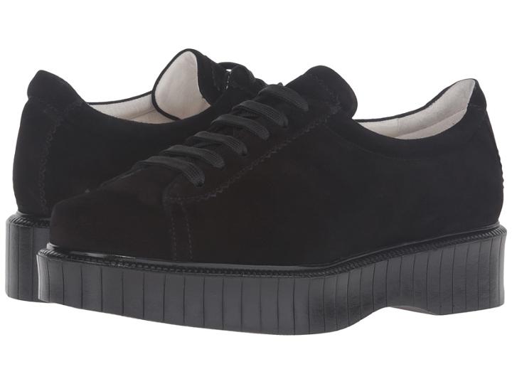 Clergerie Pasket (black Tam) Women's Shoes