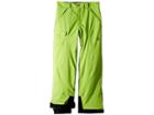 Spyder Kids Action Pants (big Kids) (fresh/black) Boy's Outerwear