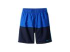 Nike Kids Solid Split 6 Trunk (big Kids) (hyper Royal) Boy's Swimwear
