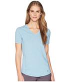 Carhartt Force Ferndale T-shirt (blue Mist Heather) Women's T Shirt