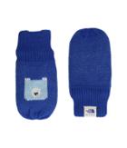 The North Face Kids Faroe Mitt (infant) (bright Cobalt Blue/sky Blue) Extreme Cold Weather Gloves