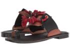 Free People Maui Slide Sandal (black Combo) Women's Sandals