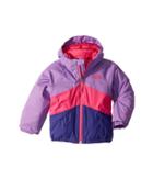 The North Face Kids Brianna Insulated Jacket (toddler) (bellflower Purple (prior Season)) Girl's Coat