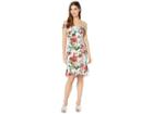 Bebe Off Shoulder Dress W/ Ruffle Hem (blue/multi) Women's Dress