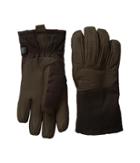 The North Face Men's Denali Se Leather Glove (brownie Brown (prior Season)) Extreme Cold Weather Gloves