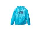 The North Face Kids Flurry Wind Hoodie (little Kids/big Kids) (turquoise Blue) Boy's Sweatshirt