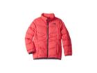 The North Face Kids Andes Down Jacket (little Kids/big Kids) (atomic Pink) Girl's Coat