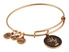 Alex And Ani Hand In Hand Charm Bangle (rafaelian Gold Finish) Bracelet