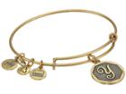 Alex And Ani Initial Y Charm Bangle (rafaelian Gold Finish) Bracelet