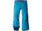 Burton Kids Barnstorm Pants (little Kids/big Kids) (celestial) Boy's Casual Pants