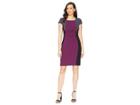 Tahari By Asl Cap Sleeve Color Blocked Dress With Side Ruching (rasin/black/pewter) Women's Dress