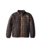 The North Face Kids Thermoball Full Zip Jacket (little Kids/big Kids) (graphite Grey) Boy's Coat