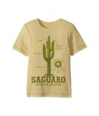 Peek Cactus Tee (toddler/little Kids/big Kids) (yellow) Boy's T Shirt