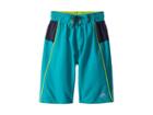 Speedo Kids Sport Volley (little Kids/big Kids) (marine Green) Boy's Swimwear