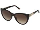 Guess Gf6069 (dark Havana/gradient Brown) Fashion Sunglasses