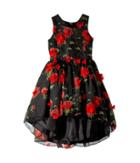 Nanette Lepore Kids Chiffon Dress With Tack On Flowers (little Kids/big Kids) (multi) Girl's Dress