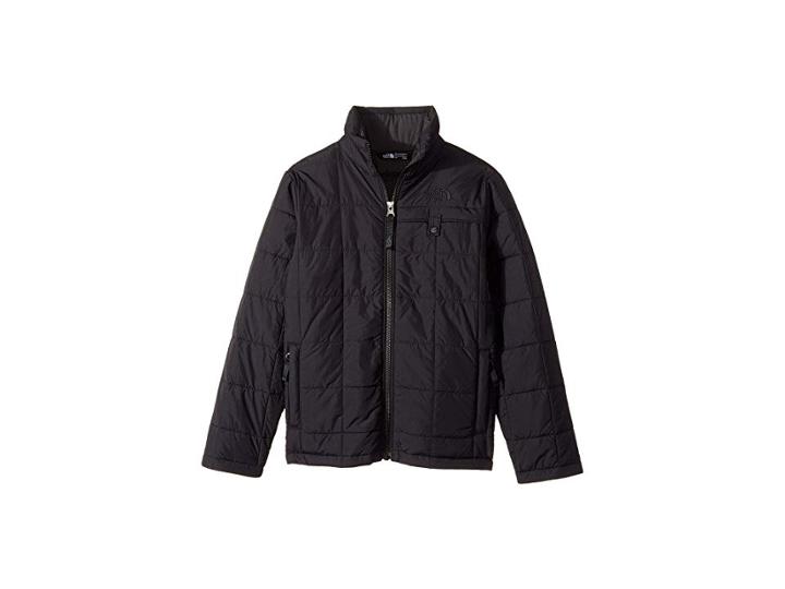 The North Face Kids All Season Insulated Jacket (little Kids/big Kids) (tnf Black/tnf Black) Boy's Coat