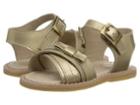 Elephantito Lili Crossed Sandal W/bow (toddler) (gold) Girls Shoes